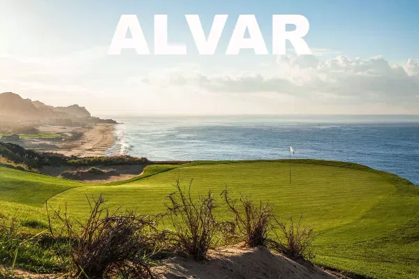 alvar 1